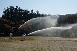 DSC00716.jpg