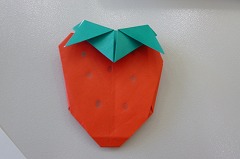 P1080417.jpg