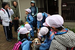 IMG_3514.jpg IMG_3514.jpg