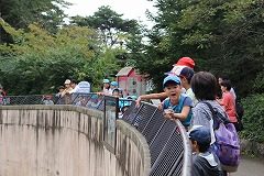 IMG_1993.jpg IMG_1993.jpg