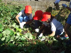 DSC01739.jpg