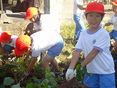 DSC01740.jpg