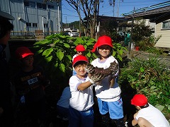DSC01742.jpg