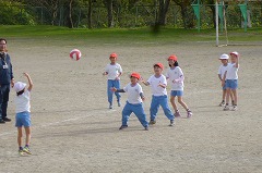 P1070594.jpg
