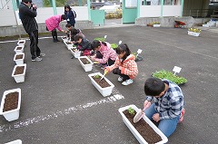 P1070645.jpg