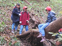 IMG_1791.jpg IMG_1791.jpg