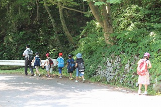 IMG_0955.jpg
