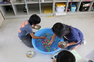 IMG_3951.jpg IMG_3951.jpg