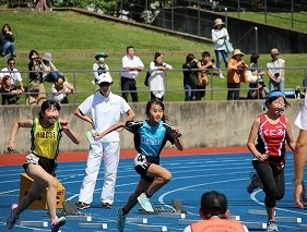 IMG_4259.jpg IMG_4259.jpg
