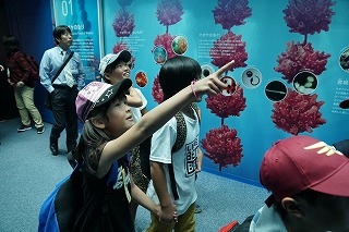 DSC08780.jpg
