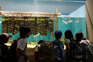 DSC08798.jpg