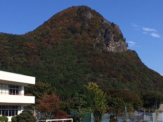 IMG_2319.jpg