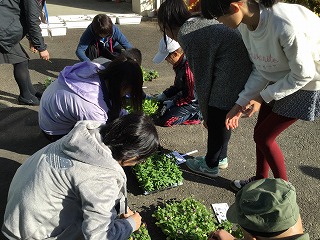 2017-10-27 08.51.01.jpg