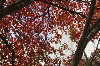 DSC00402.jpg