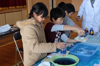 IMG_4709.jpg