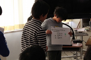 IMG_4930.jpg