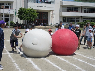 IMG_1227.jpg