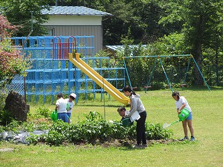 IMG_1541.jpg IMG_1541.jpg