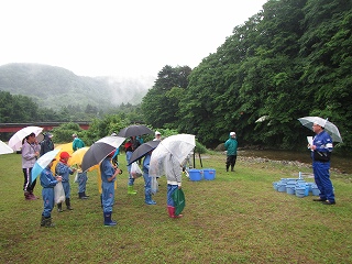 IMG_0940.jpg IMG_0940.jpg