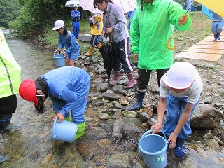 IMG_3052.jpg IMG_3052.jpg