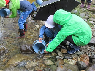 IMG_3033.jpg IMG_3033.jpg