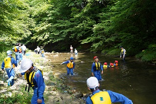 DSC07712.jpg