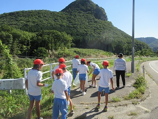 IMG_5377.jpg