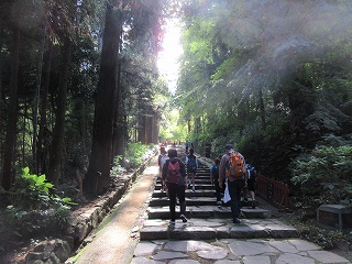 IMG_5625.jpg IMG_5625.jpg
