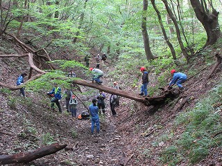 IMG_6465.jpg