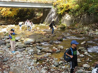 IMG_6766.jpg