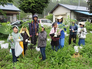 IMG_0430.jpg IMG_0430.jpg