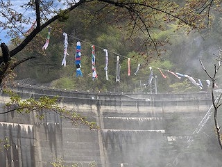 IMG_2974.jpg
