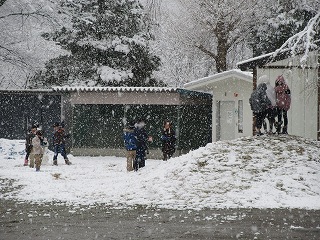 IMG_3971.jpg