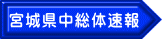 宮城県中総体速報