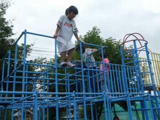 P1000897.jpg