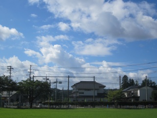 IMG_3523.jpg