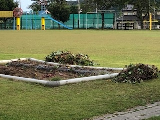 image1.jpg