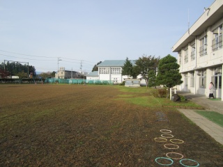 IMG_4199.jpg