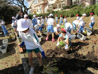 IMG_2545.jpg IMG_2545.jpg