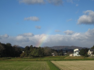 IMG_4464.jpg