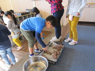 IMG_2620.jpg IMG_2620.jpg
