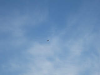 IMG_4603.jpg