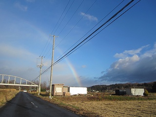 IMG_4714.jpg