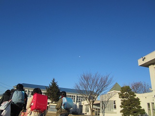 IMG_4730.jpg