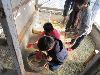 IMG_3049.jpg IMG_3049.jpg