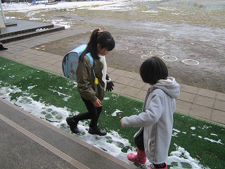IMG_4905.jpg