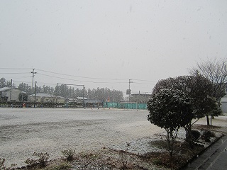 IMG_4963.jpg