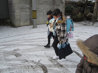 IMG_5224.jpg