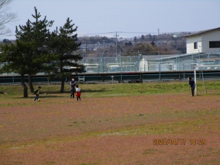 IMG_2329.jpg