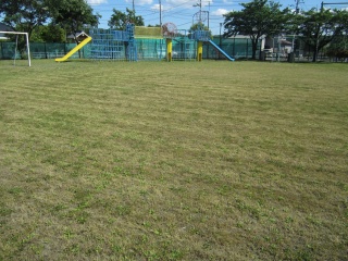 IMG_5703.jpg IMG_5703.jpg